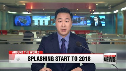 Hundreds brave cold in New York's 'Polar Bear Plunge'