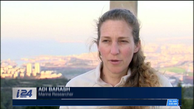 CLEARCUT | Sharks invade coastal waters off Israel | Tuesday, January 2nd 2018