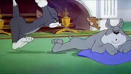 Tom And Jerry English Episodes - Quiet Please!  - Cart