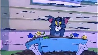 Tom And Jerry English Episodes - Safety Se