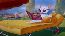 Tom And Jerry English Episodes - Springtime for Thomas  - Car