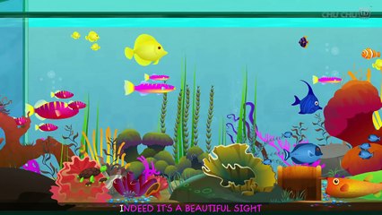 Color Songs - The YELLOW Song _ Learn Colours _ Preschool Colors Nursery Rhymes _ ChuC