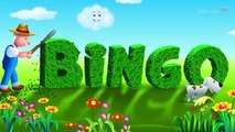 BINGO Dog Song - Nursery Rhyme With Lyrics - Cartoon Animation Rhymes & Songs for Children-