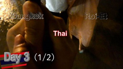 タイ,バンコク,D3-1,'17年の夏休み,Bangkok, Thailand ,Roi-Et trip