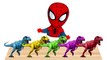 Baby Spiderman playing with Dinosaur Talking Tom Hulk Little Pony Finger Family Learn Colors-k6FlS