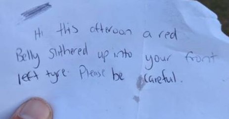 'Please Be Careful': Warning Note Left for Driver Prompts Search for Red-Bellied Snake