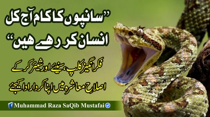 Sanpo Ka Kam Aj Kal Insan Kr Rahe Hain (Muhammad Raza SaQib Mustafai)