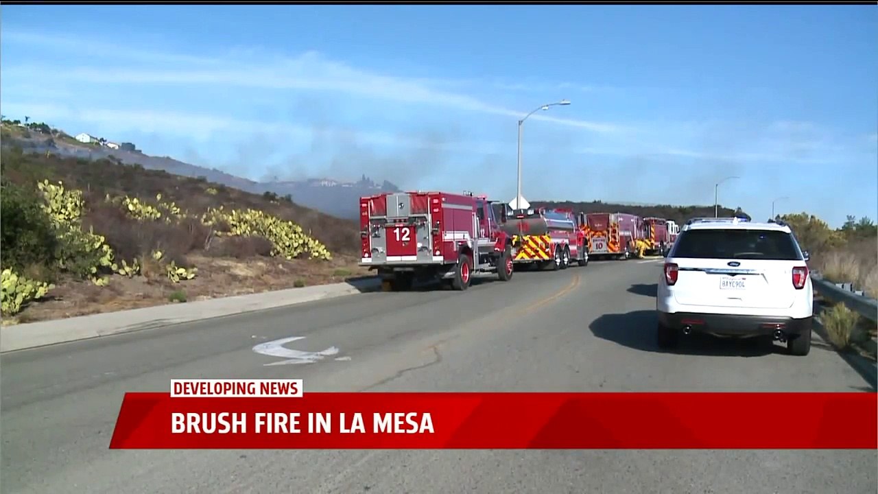Woman in Custody After Brush Fire Breaks Out in San Diego