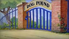 Tom And Jerry English Episodes - Puttin’ on the D