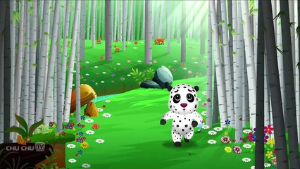 Finger Family Panda _ ChuChu TV Animal Fing