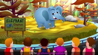 Finger Family Elephant _ ChuChu TV Animal Fing