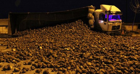 Taksitle Satın Aldığı TIR'ı Devrilen Şoför, Hüngür Hüngür Ağladı