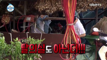 [선공개] 여름 나래 학교에 오신 것을 환영합니다~!