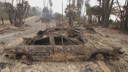 Presidente Trump declara el estado de desastre en California por incendios