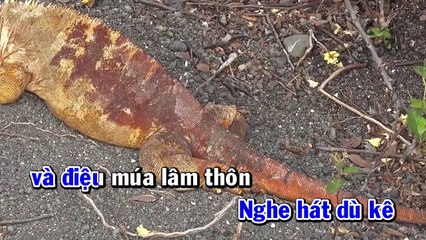 Karaoke - Sóc Xà Bay Sóc Trăng - Lâm Bảo Phi ft Hoàng Đăng Khoa