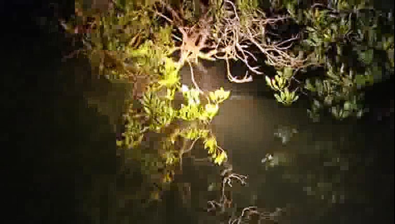 Outback Wildlife Rescue Episode 8 by ChannelHub