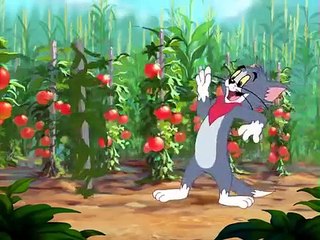 Tom And Jerry English Episodes - Summer Squash