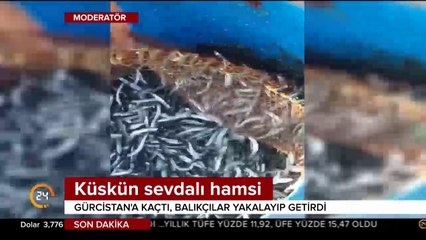 Yollara düştüler