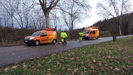Un arbre s'effondre sur un poids lourd à Bois l'Abbesse