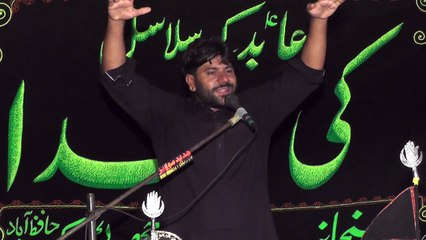 Allama Saleem Abbas Naqvi Qoom Iran 20th Muharam 1439(2017) Choti Behak Hafizabad