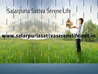 Salarpuria Sattva Serene Life Plots