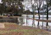 High Tide Causes Sydney River to Overflow