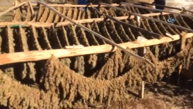 Diyarbakır'da PKK'nın Finans Kaynaklarına Yönelik Operasyonda 13 Kişi Tutuklandı