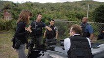 Hawaii Five-0 ~ season 8 Episode 13 On Full ~ S8E13 