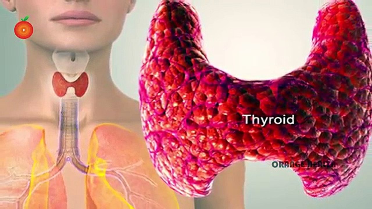 Kill Thyroid Forever Naturally In Just 8 Days