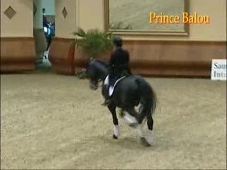 Prince Balou GFD