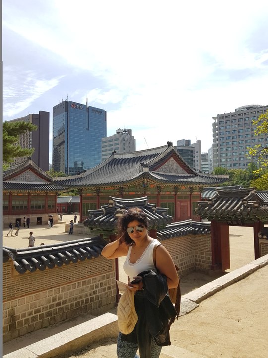 Sassy Korean Cat!