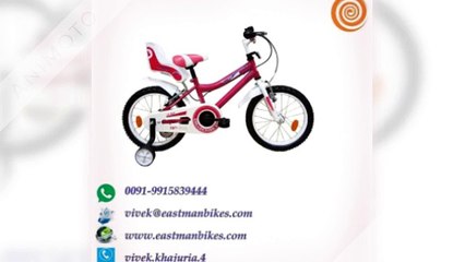 Children bicycle  || Eastman Bikes