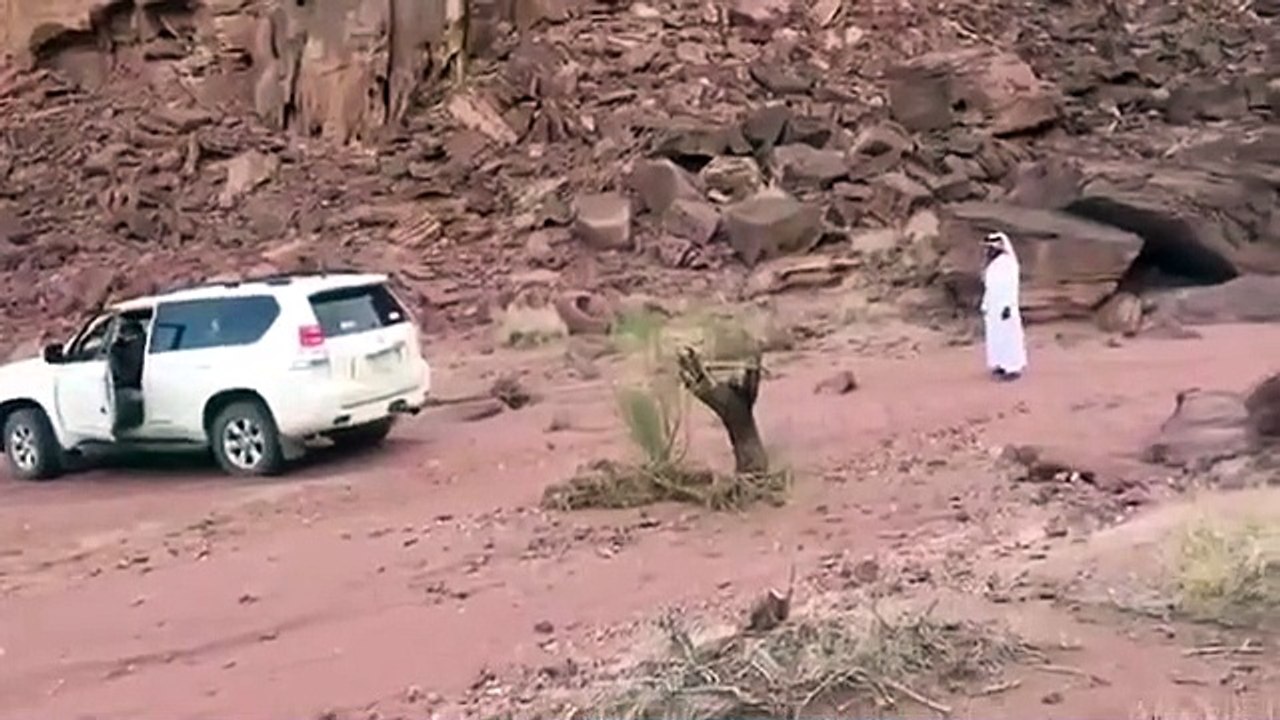 Ce débile essaie de déraciner un tronc avec son 4x4... Raté