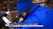 What Renters Need to Do If a Pipe Bursts