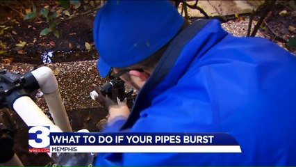 What Renters Need to Do If a Pipe Bursts