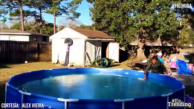 Las bajas temperaturas que azotan a Florida han dejado piscinas congeladas y parques cerrados