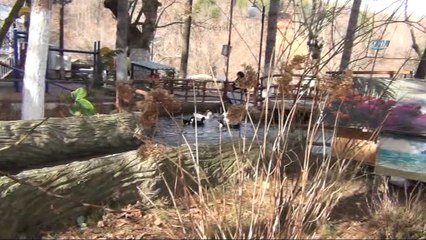 Oylat kış sezonunu açtı