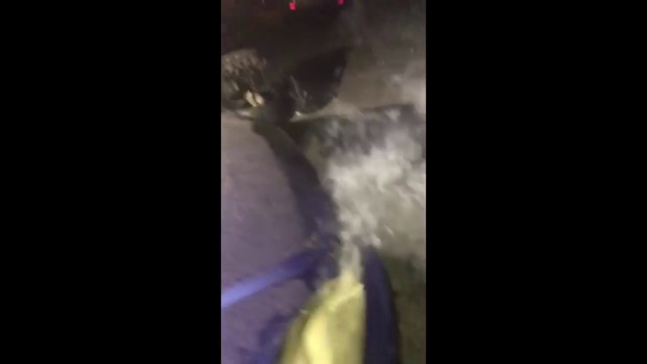 Cette voiture crame au démarrage !! Ah non lol...!!