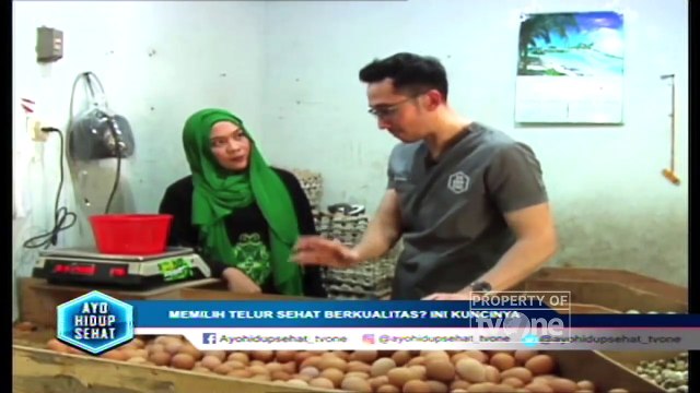 Memilih Telur Sehat Berkualitas? Ini Kuncinya - Ayo Hidup Sehat