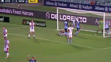 ADRlAN assist