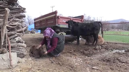 Garipçe'nin Ümmü'sü" Bir Düveyle Hayallerine Kapı Araladı