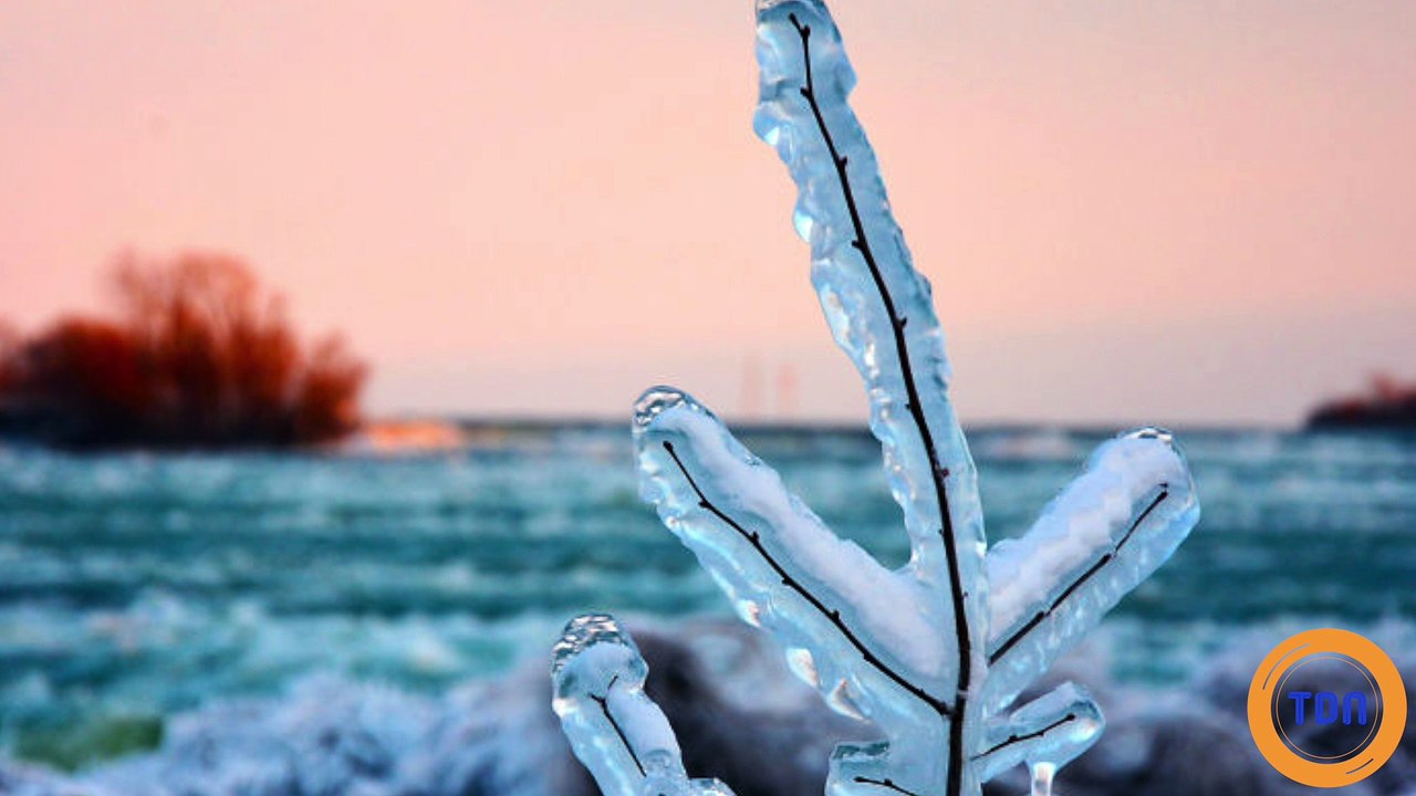 Il fait tellement froid aux Etats-Unis et au Canada que les chutes du Niagara ont gelé ! Découvrez les images impressionnantes
