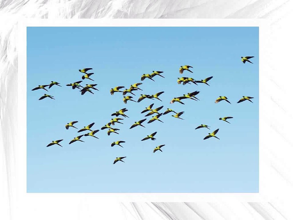 Disconnected Dizzying Urban Landscapes Photography By Leo Erwin Garcia