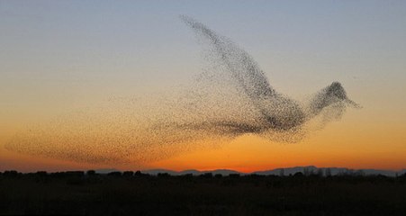 Muhteşem Zamanlama! Alman Fotoğrafçının Bu Fotoğrafı Büyük Ödülü Kaptı