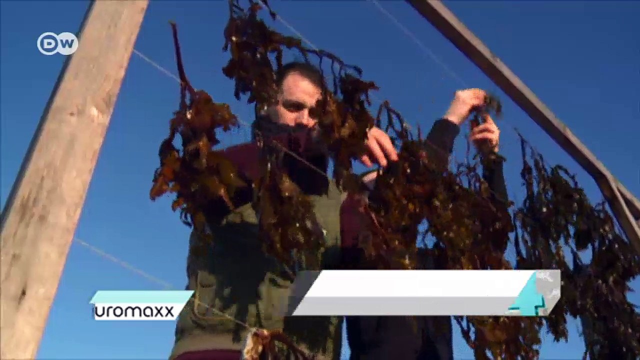 High Five: Außergewöhnliche Möbel | DW Deutsch