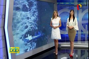 Serpentín de Pasamayo: reanudan labores de rescate de víctimas