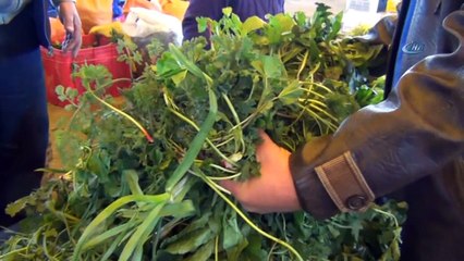 Düzenlenecek festival ile genç nesle fast food yerine ot yedirmeyi hedefliyorlar