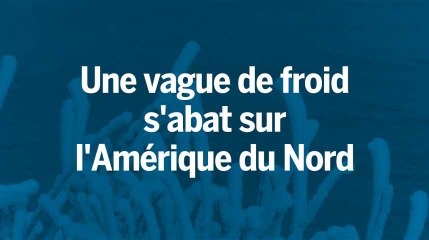 Une vague de froid s'abat sur l'Amérique du Nord