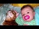 Confused Cat showing love to Baby - Cute Cats and Babies Cuddling Compilation