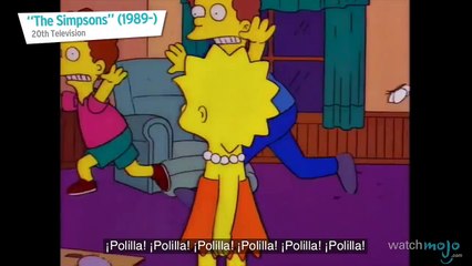 ¡Top 10 Insectos Más MOLESTOS!